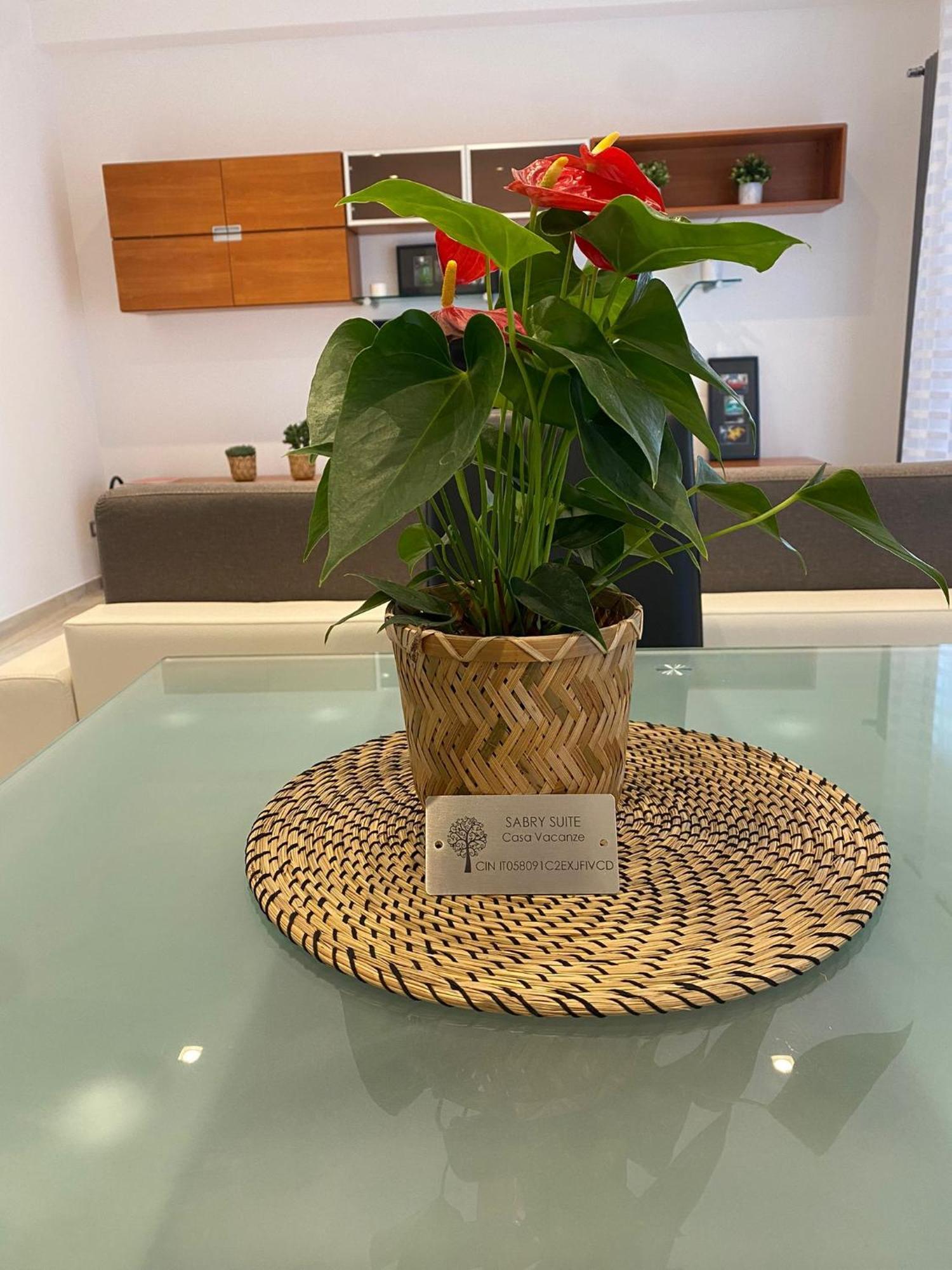 Appartement Sabry Vaticano Rome